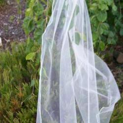 Single Layer Bridal Veil - 36 Inch
